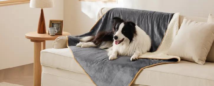 What Makes Our Anion Pet Blanket Special What Makes Our Anion Pet Blanket Special