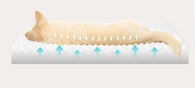 Revolutionary Negative Ion Technology for Pet Wellness