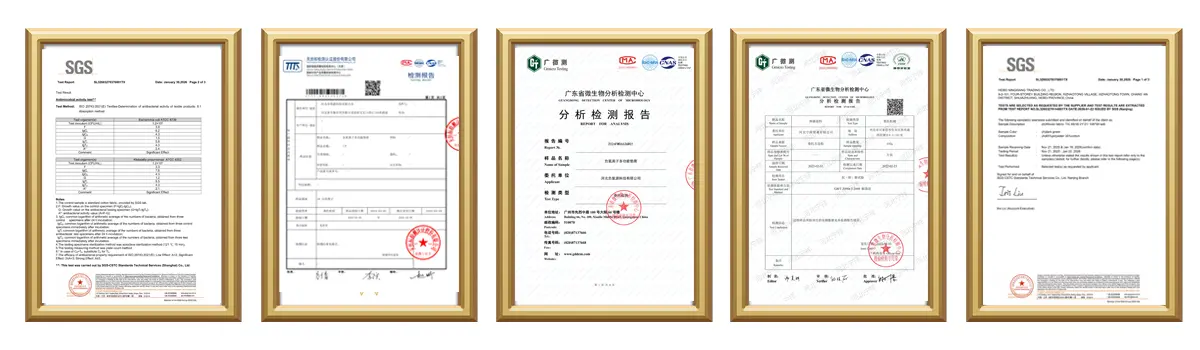 Certification Certification